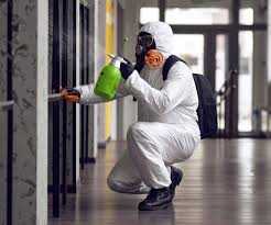 Best Mold Odor Removal Services  in Crestline, OH