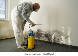  Crestline, OH Mold Prevention & Removal Pros